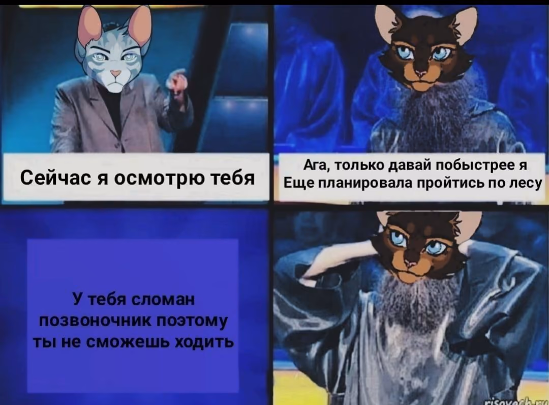 a60abaecd8b8ed8c81090988ad94731d.avif