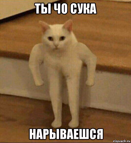 a6115e845153b46261e78976880ae395.avif