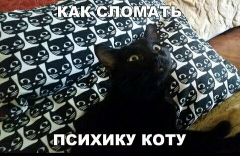 a61217bd3754f49bf6a230f1ae1040f2.jpg