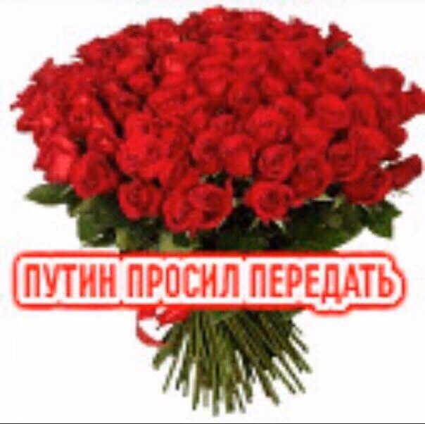 a61269d53b44b524efc95bbdb70a6250.jpg