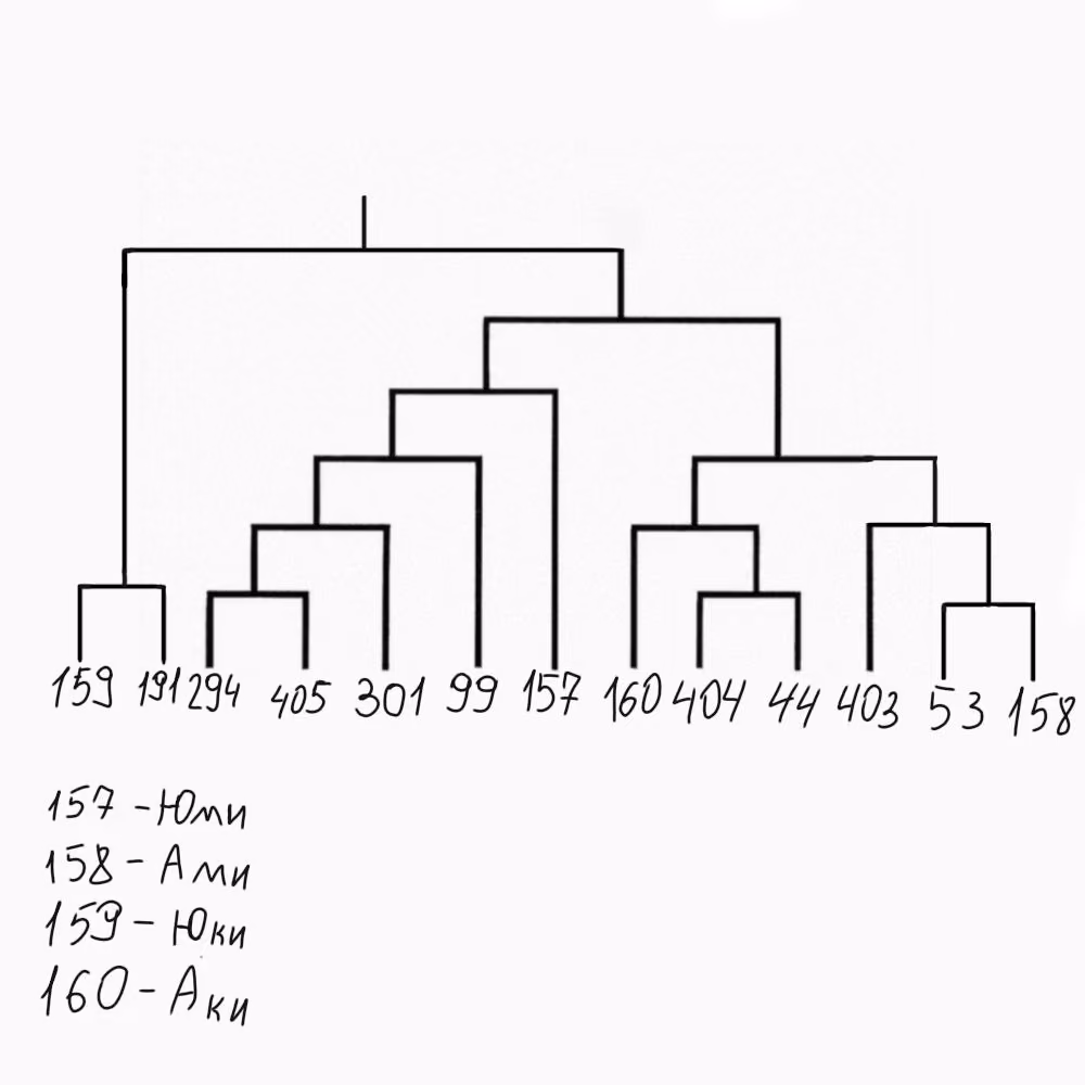 a63126cfb4700180100652a8db479007.jpg