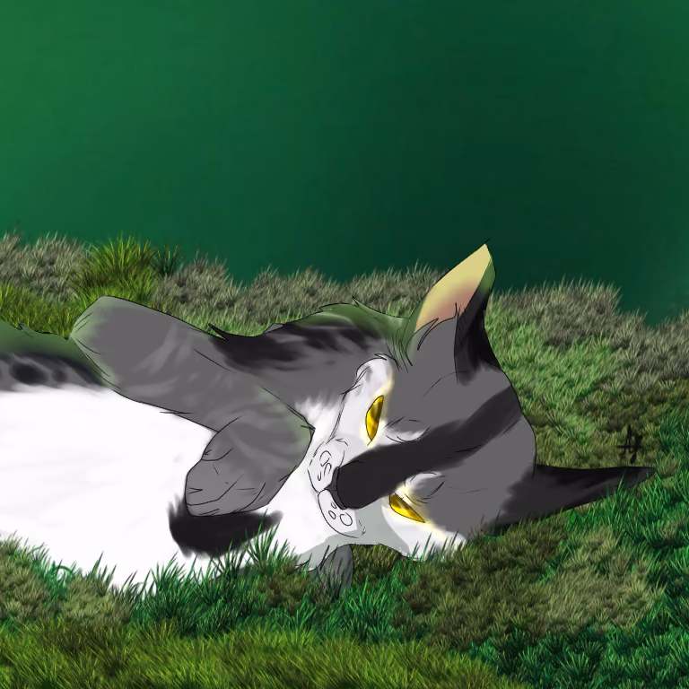 a6515a3c8ee668b8239deaef7522be80.jpg