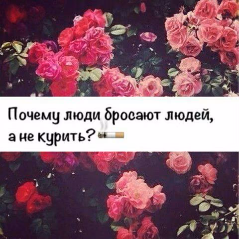 a66264e974281468621f31702686d38a.jpg