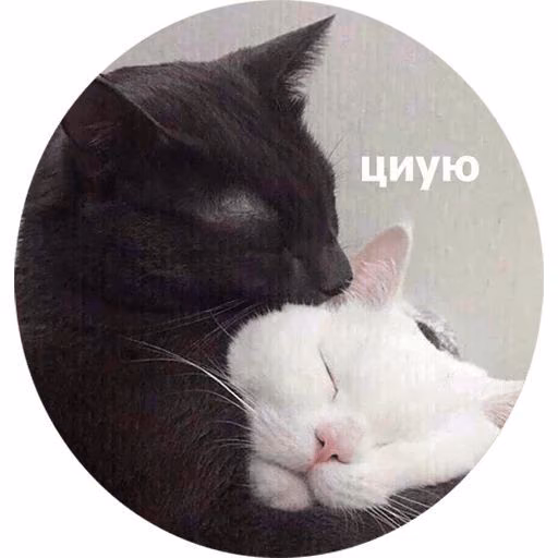a66570917ca586cdc98d5b4ccd4f5c62.avif