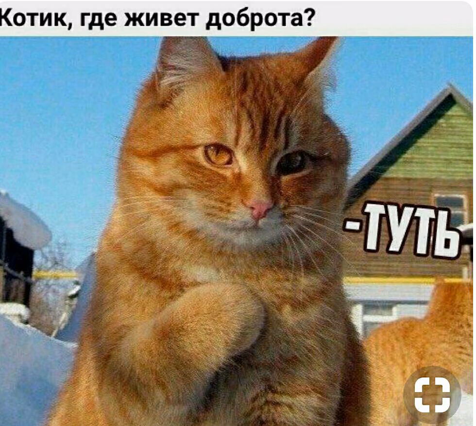 a6747810b279e5858780f8e9e7037668.jpg