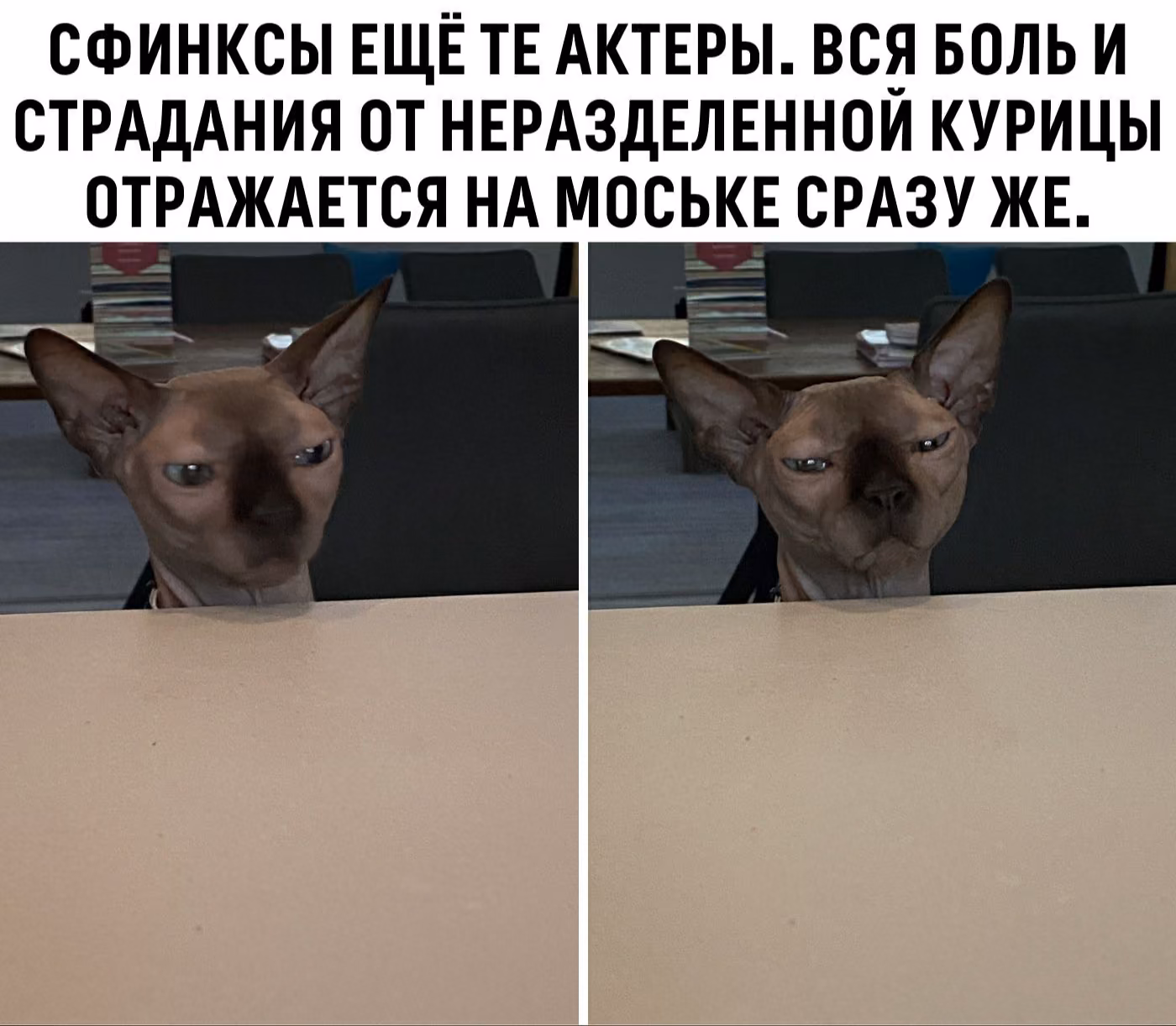 a68155f462a0fb0c3417798e5fde97b2.jpg