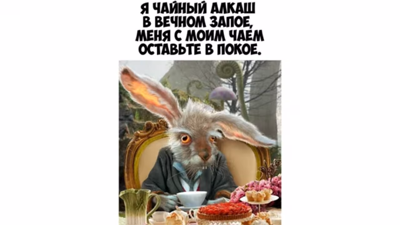 a6902b6ea6287a5d4560cfcd04207c08.avif