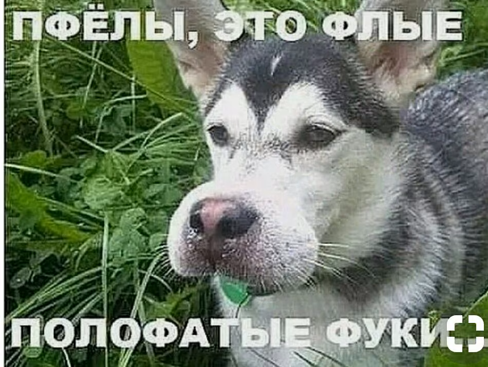 a69399f7e6f9d5d40b1ea95f9cfe98a2.jpg