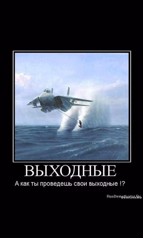 a69e77fcf883cab898b57d3e779cacce.avif