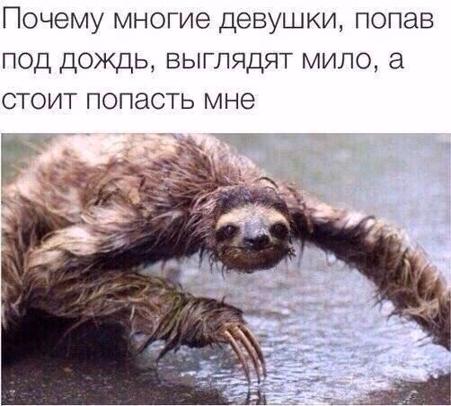 a6a33195a4157906f23c1beb6c50edfd.avif