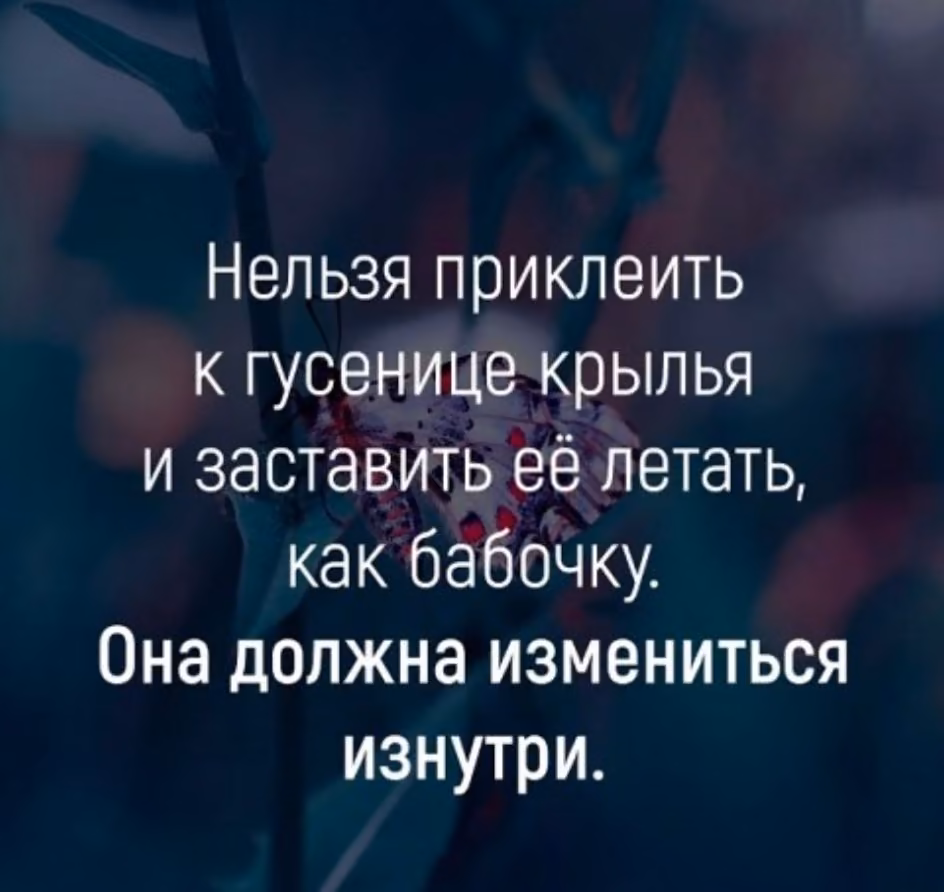 a6acfe7e46eac8501cd996ab709d7f2d.jpg