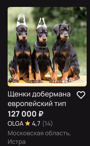 a6b055d8eee2e6b0495fbfa68391351e.avif