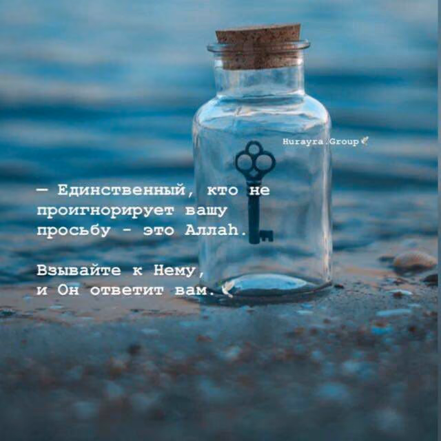 a6b5cd323c01a239378833db216562d2.jpg