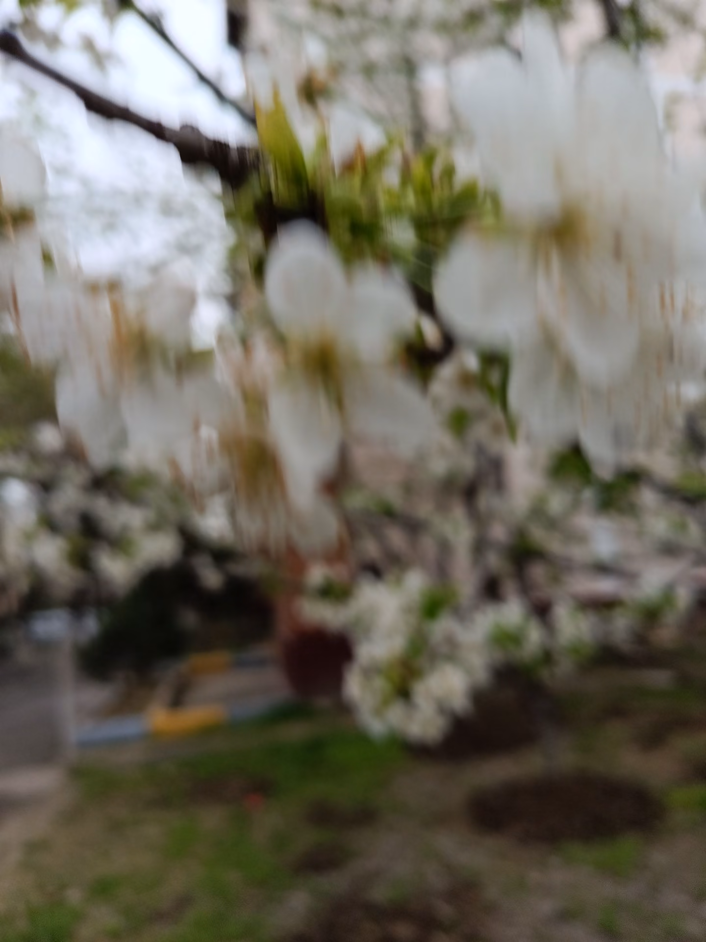 a6c0ee498444a811bd751206fa20a963.jpg