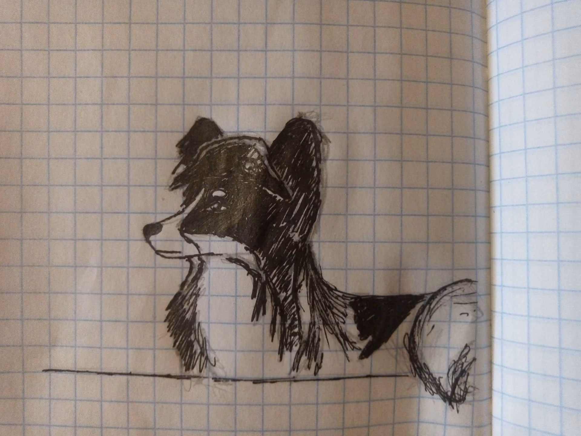 a6c27f32b3d81b6043c8858800fdbc63.jpg