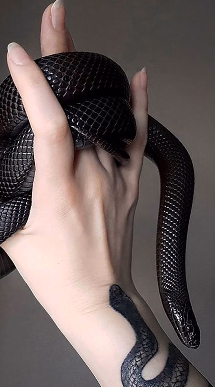 a6c63ad1868d70f4f4abbe3c8444e8ae.jpg