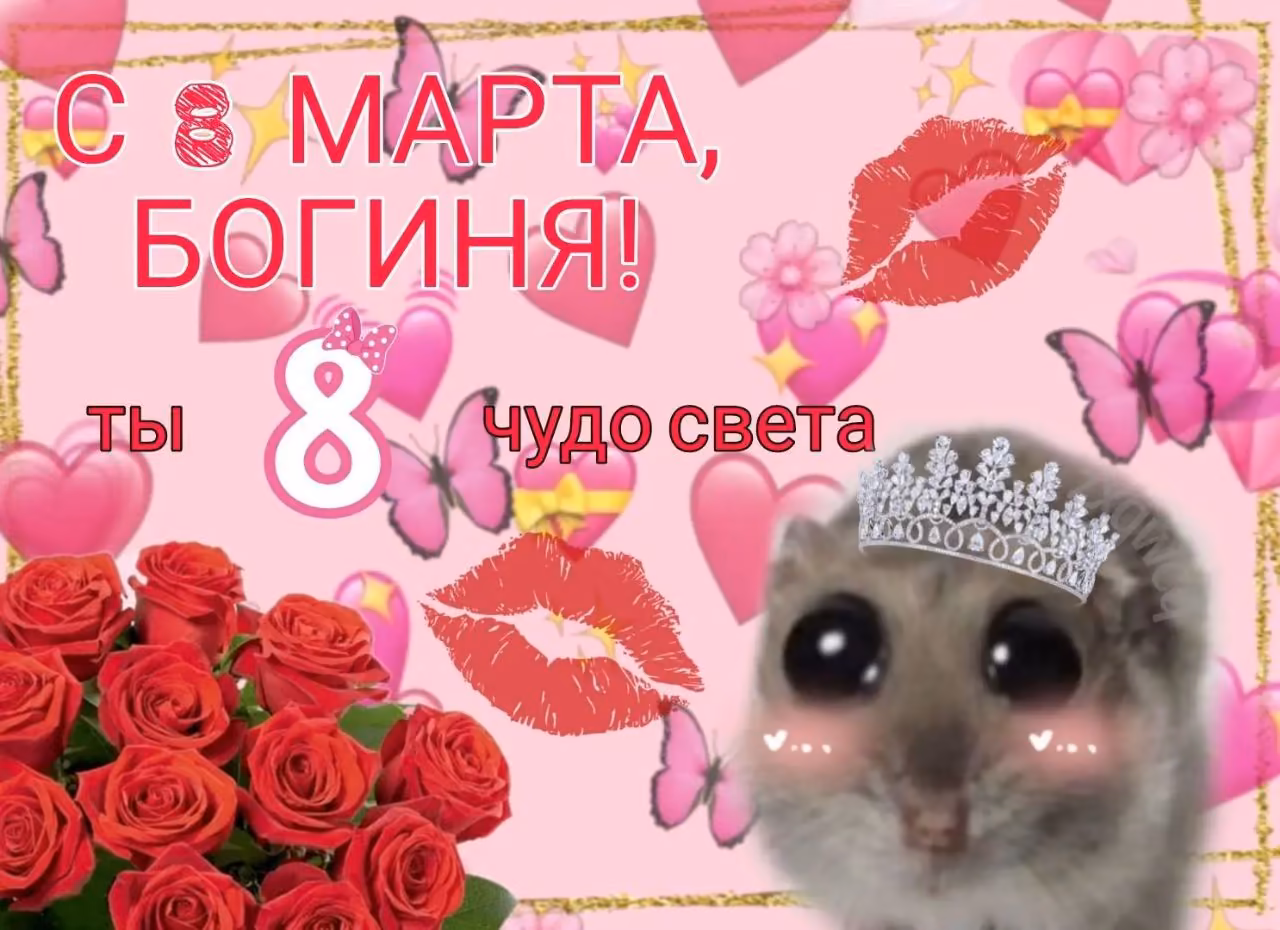 a6cdb4ff68305684ccaee64be8bd2b9e.avif