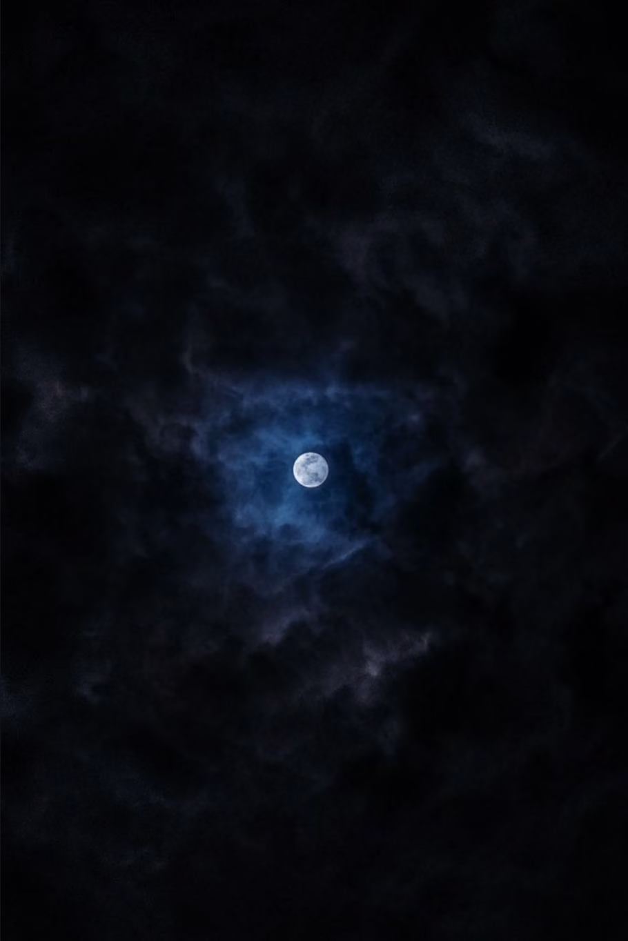 a6d8921b0bc282700ee3c422255cc539.jpg