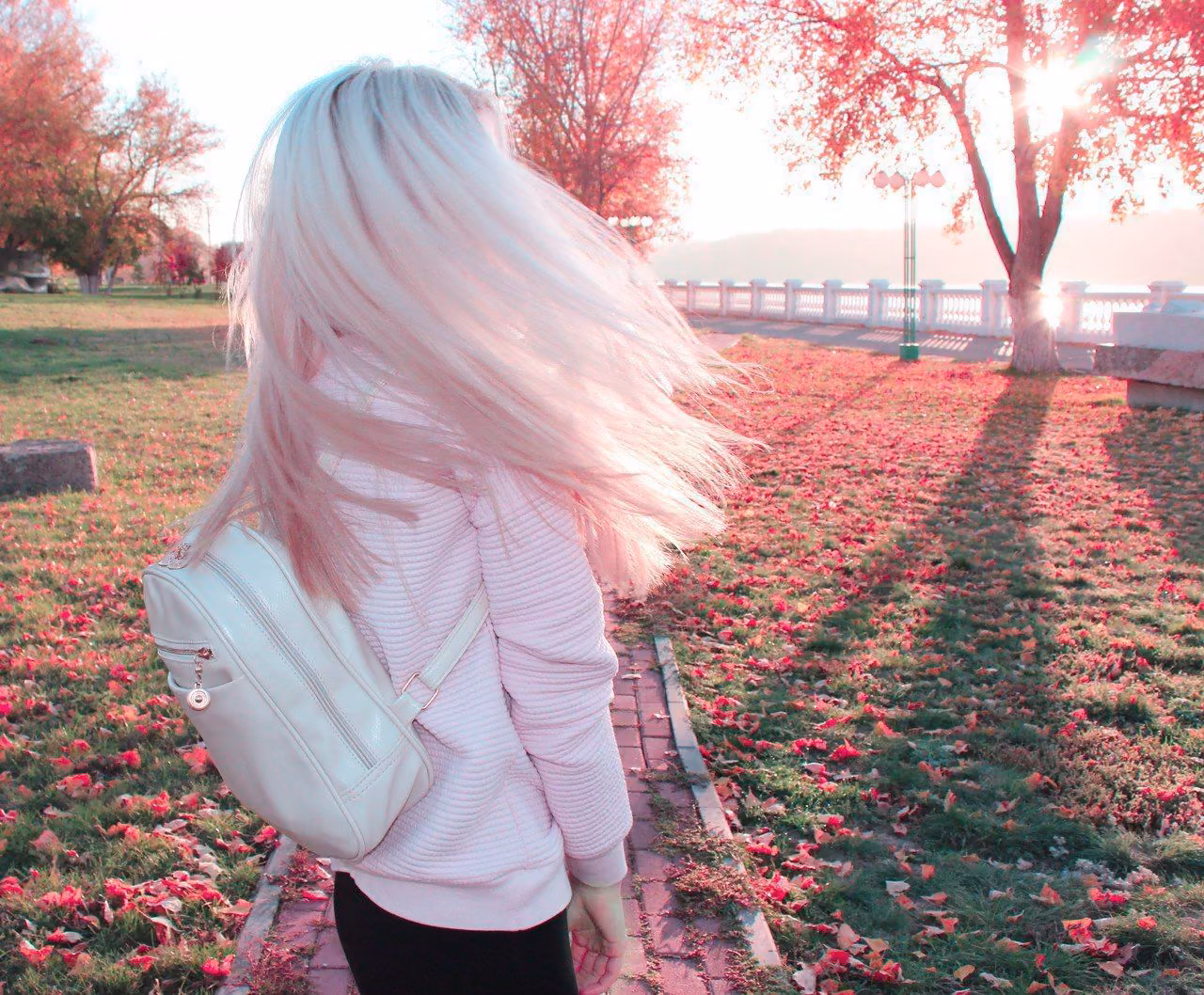 a6d95b0cb63fee9a5f08e9523f70ad4c.jpg
