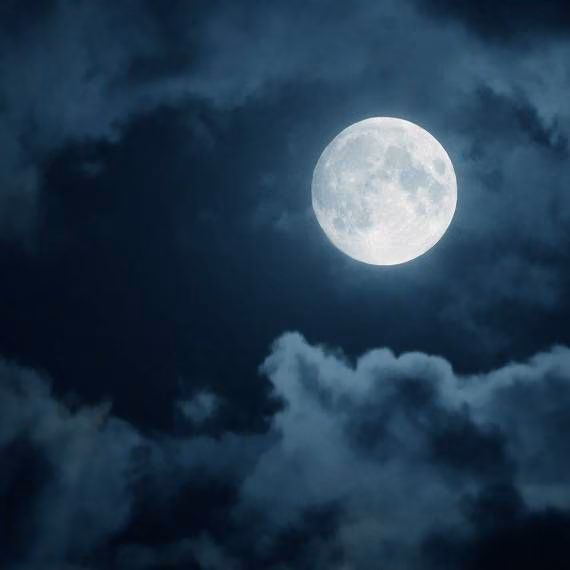 a6dc39578da915749a23a9fb5b19fbb0.avif