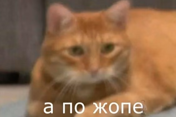 a6dfddd49b5c7bbf80ea02d43c32c81f.avif