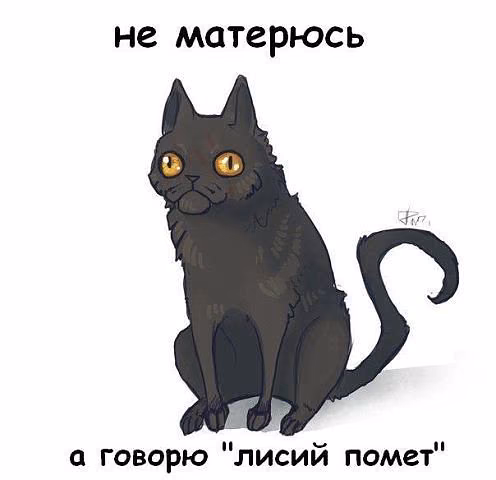a6e18289803b33d564de9dd7f5a448c6.avif