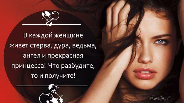 a6f711b7ee7ec946eddd611142a36d4a.avif
