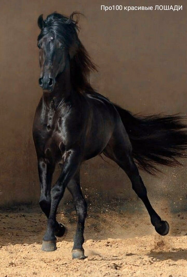 a6f7ae35e2662ff60280231fcba62aa8.avif