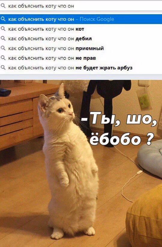 a70a03f4a77838f5939f2ec477fd5b60.jpg