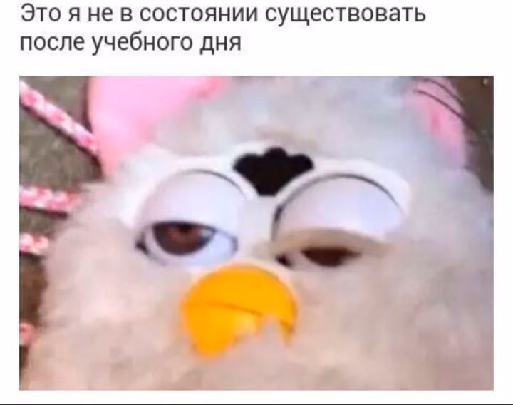 a70b694ae17edd815995d8e915796c95.jpg