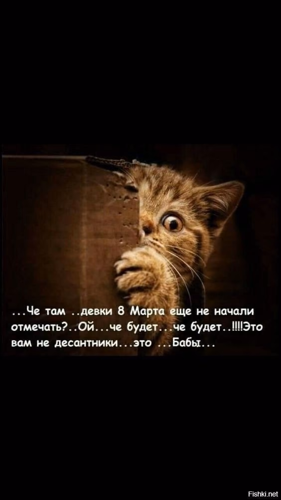 a71b1ca9364959327dd158daea2277f3.avif