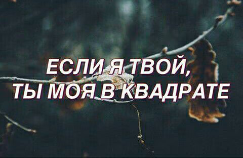 a721cb39620b58255b29c53d68d048db.jpg