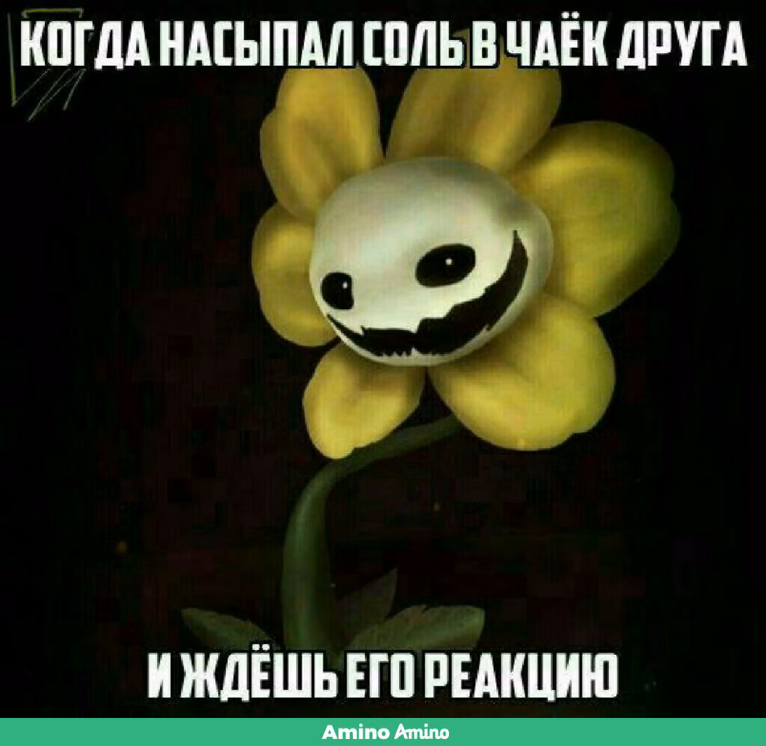 a7380e1be69108ad41168fe13f5142a3.jpg