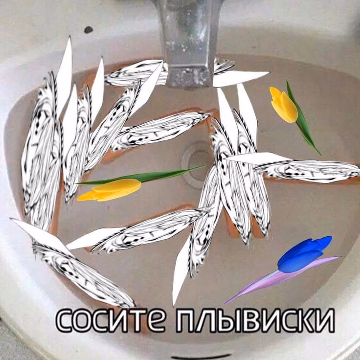 a751cdbf09433c9f349c8669f9a19aeb.jpg