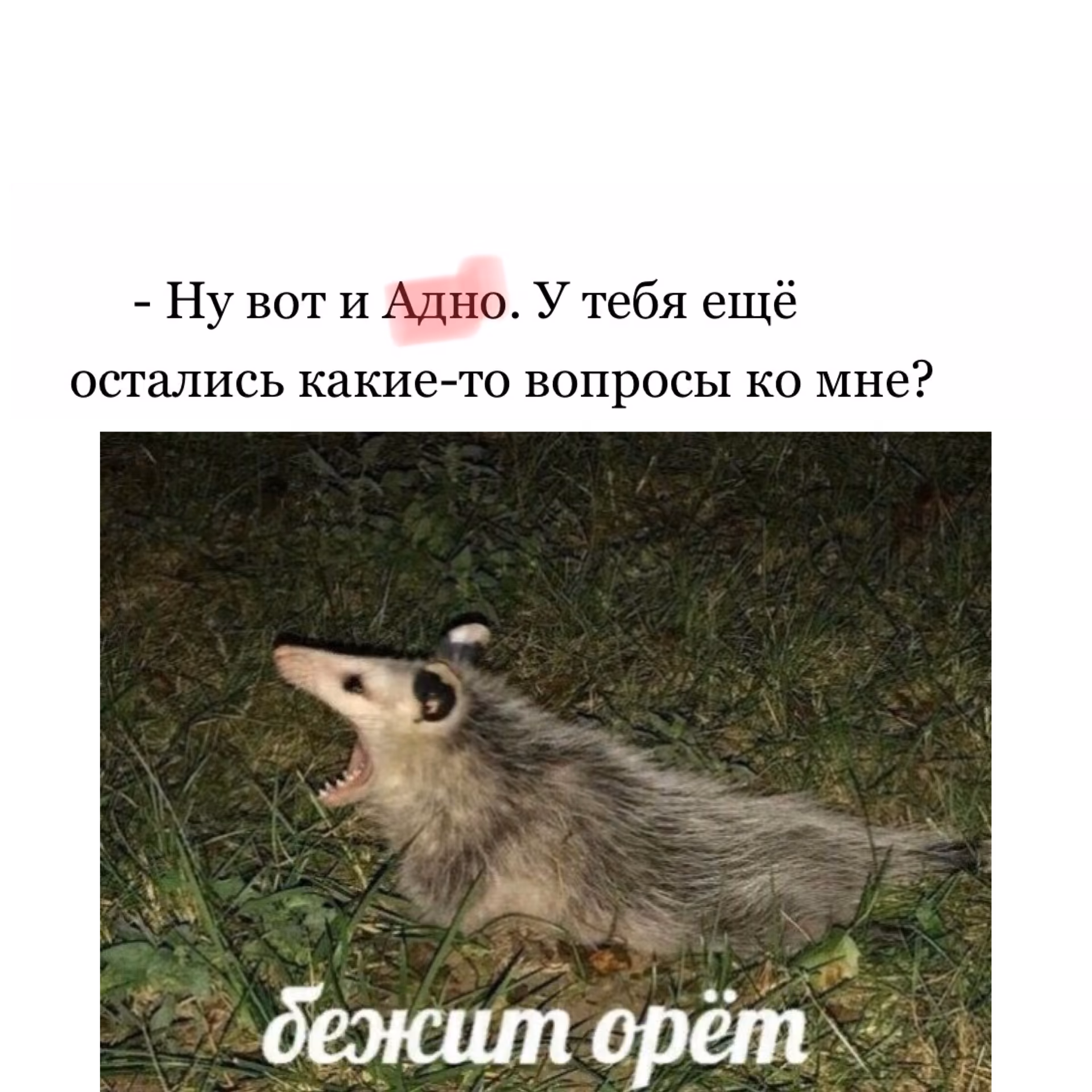 a754f7ca17834304ce26a0227cd453ee.avif