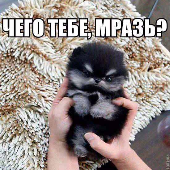 a75e8aeee7e591259905b37399786fbb.avif