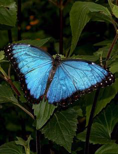 a76981d4542ae9ae2257ba5188f2cccc.avif