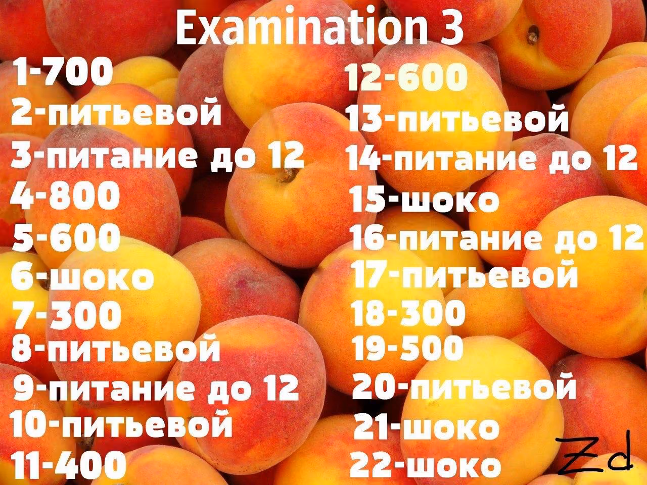 a77195fc59f3d19802cd38d9df96ade6.jpg
