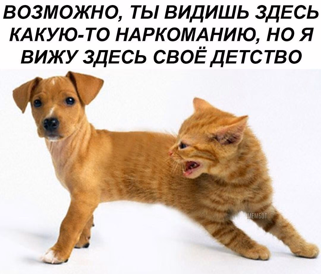 a777054c9b3c37d3bfc5c34405d2d79e.jpg