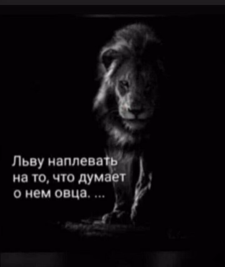 a77818867d5ffccc0508a1fbe707b154.jpg