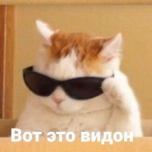 a78d16214a39fdf2d8375f73015933d6.jpg