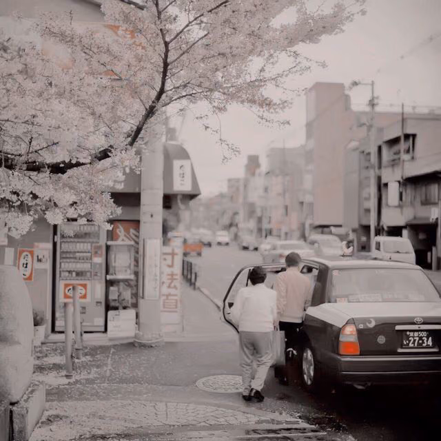 a7917e3023a0c9b9c0bf35ed864b0879.jpg