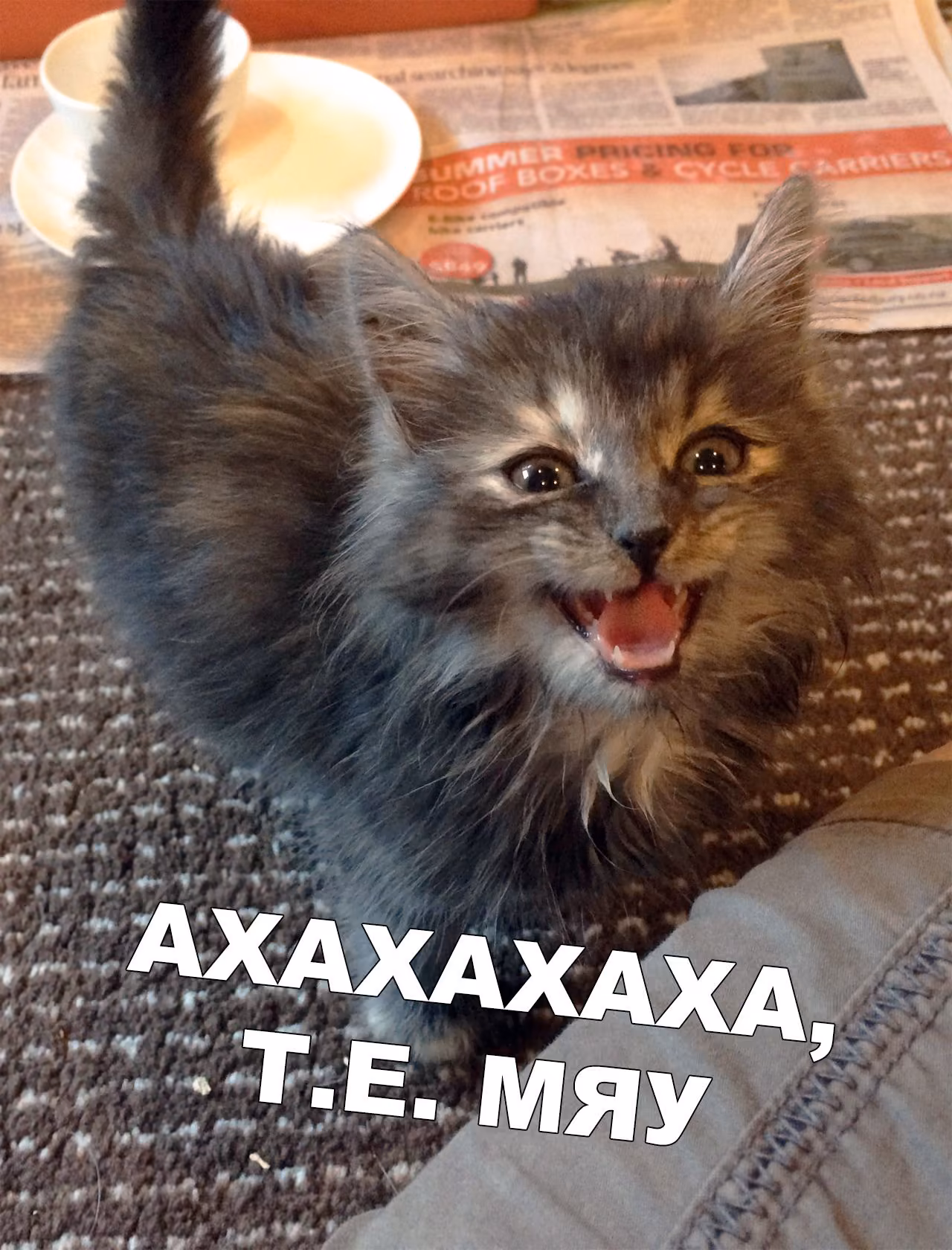 a7a1954a959788a312a7a66e8ba49ae9.jpg