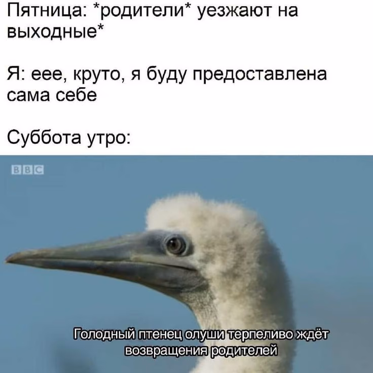 a7b8017c675bc5f3b00e6a36685db0c2.avif