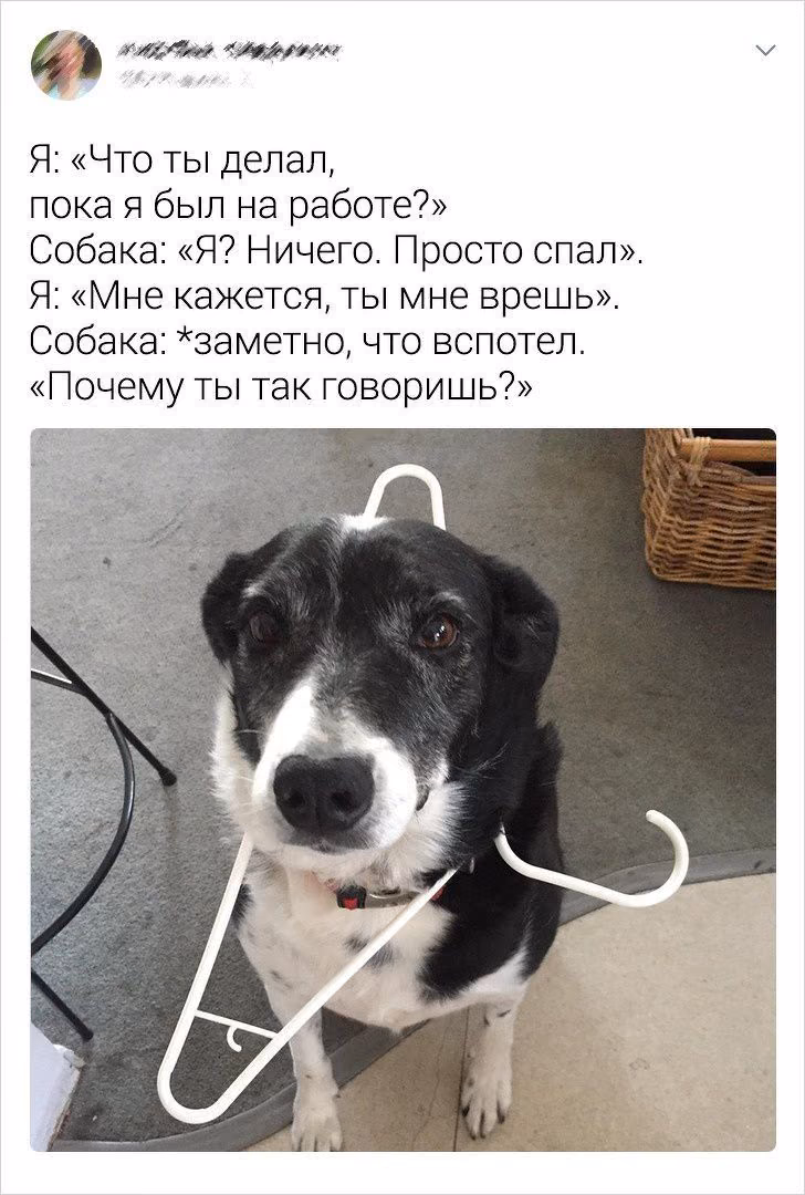 a7bce23ecefc0602abdb4d89c251e193.avif