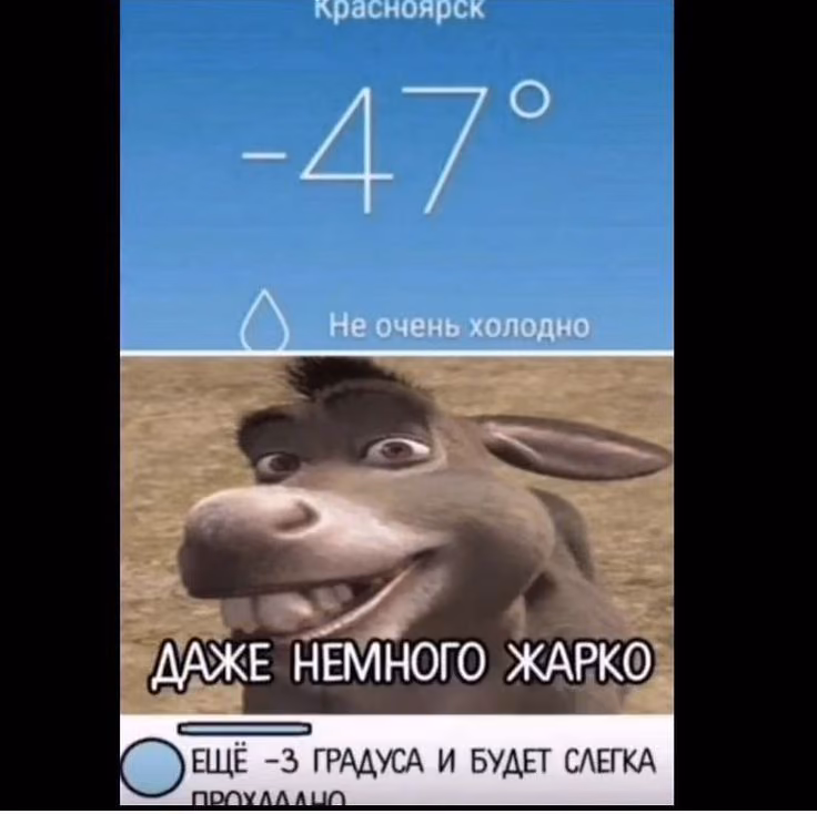 a7c812011aedc5dbf3c31b300fa84ce8.jpg