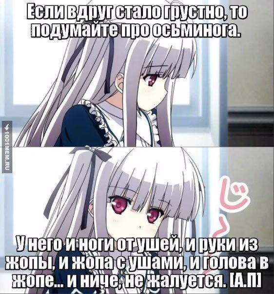 a7ca56baee7ab87275b498a9292b24ad.avif