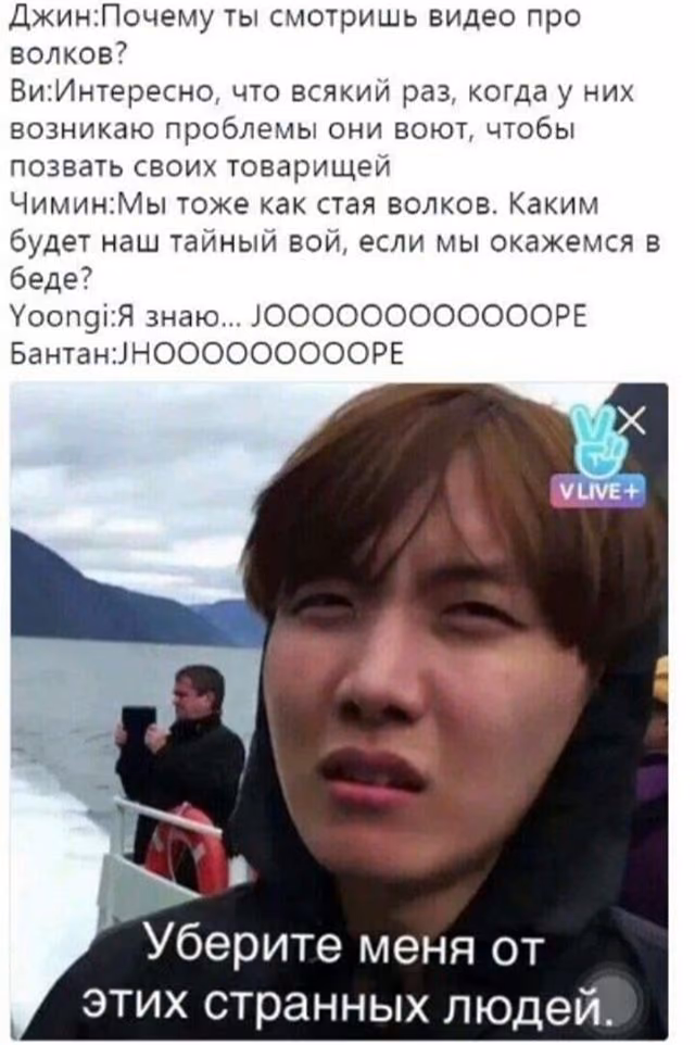 a7cf0d46ede2e8a6a2466850eff4a8ca.avif