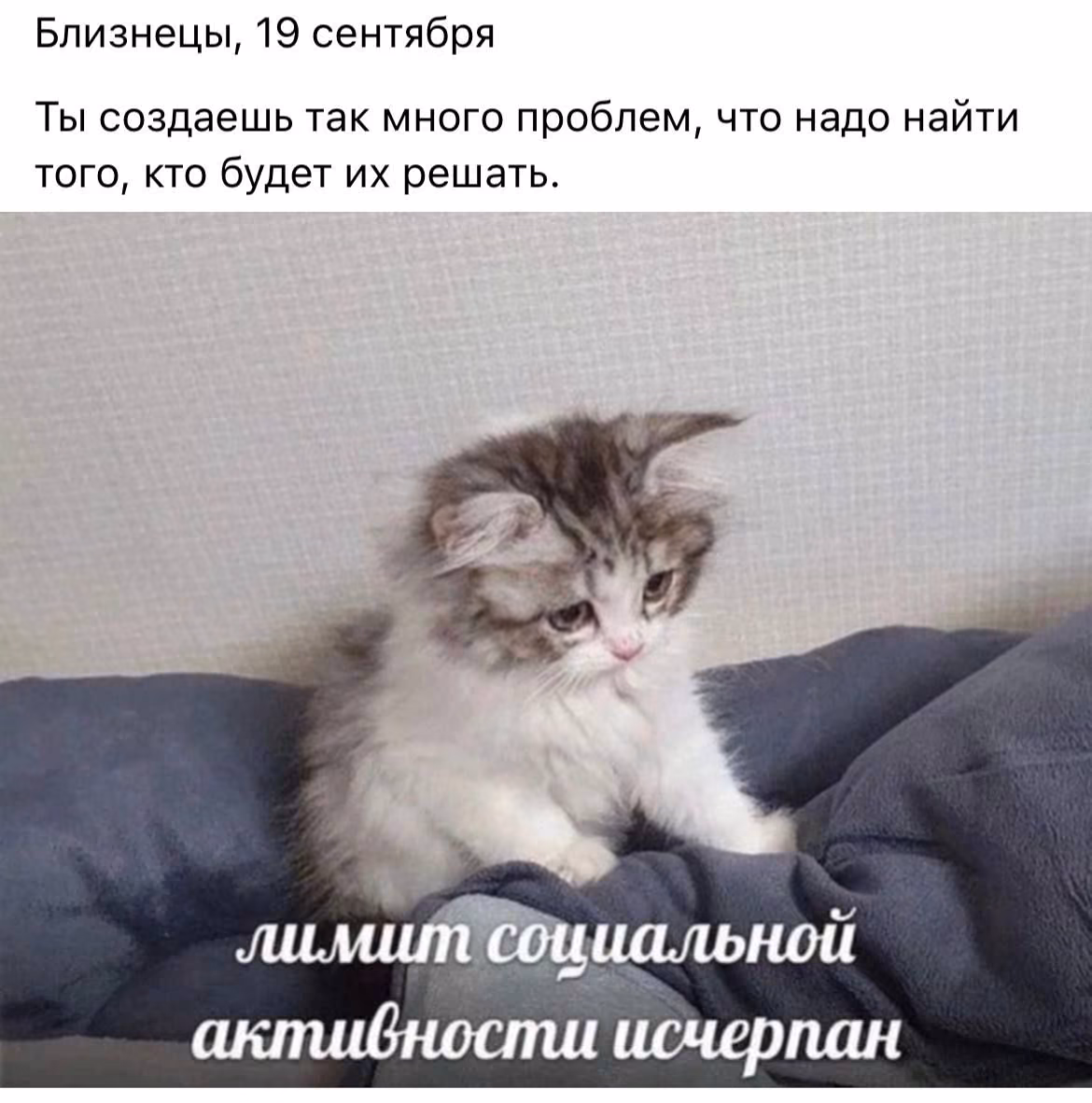 a7d58bbeaed73cf1f6cfdcd3e6576e47.jpg