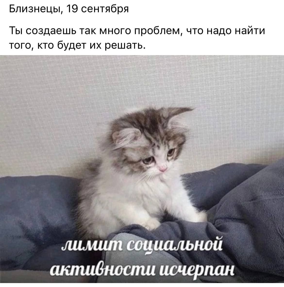 a7d58bbeaed73cf1f6cfdcd3e6576e47.jpg